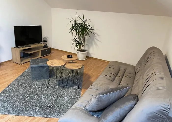 Despot Apartmani